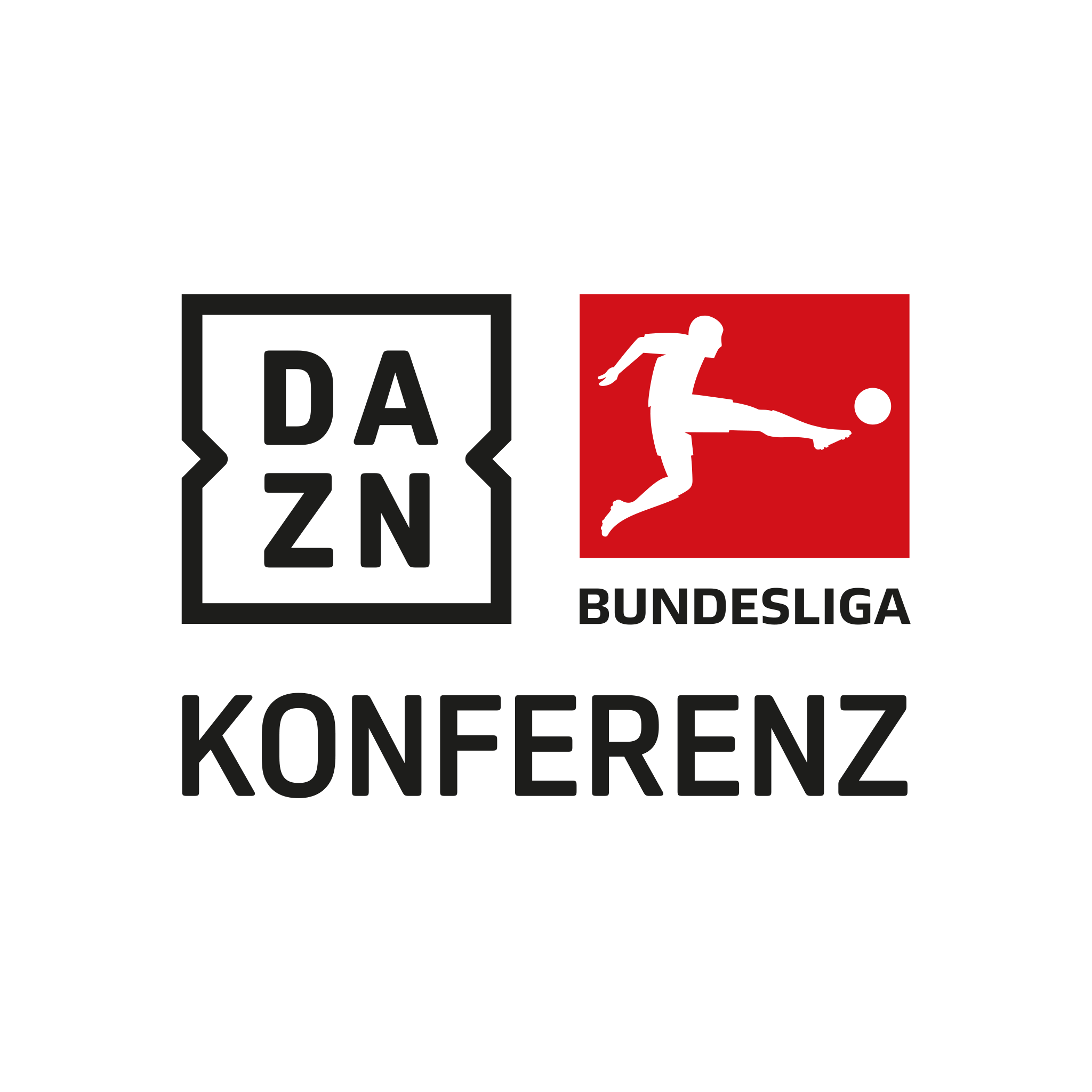big logo