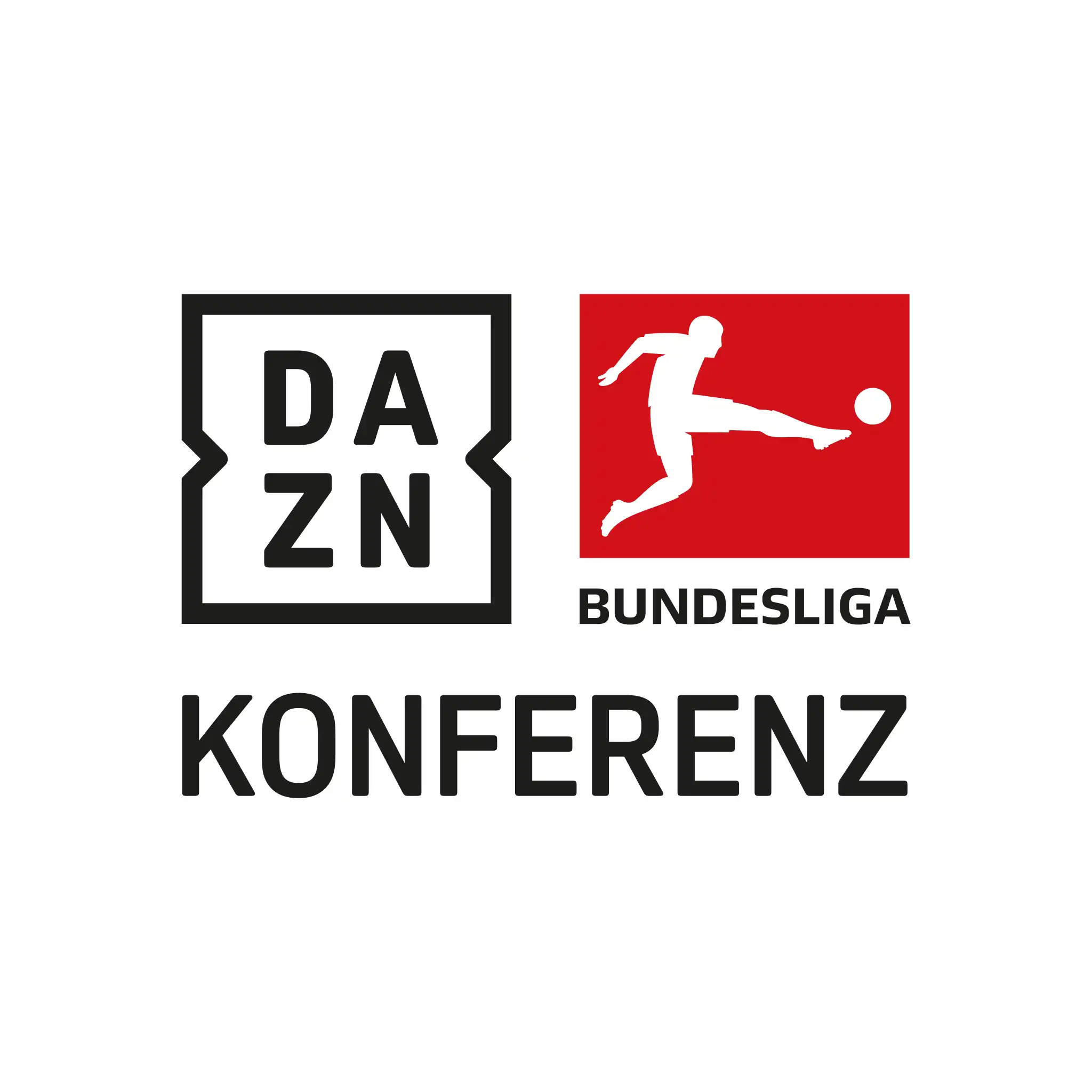 big logo