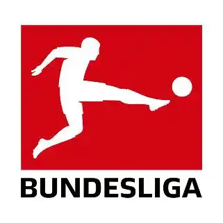 big logo