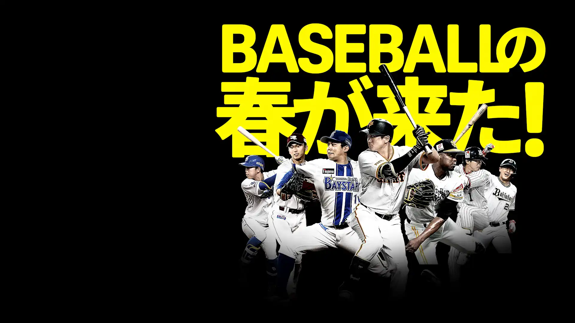 Spotlight Background Image
