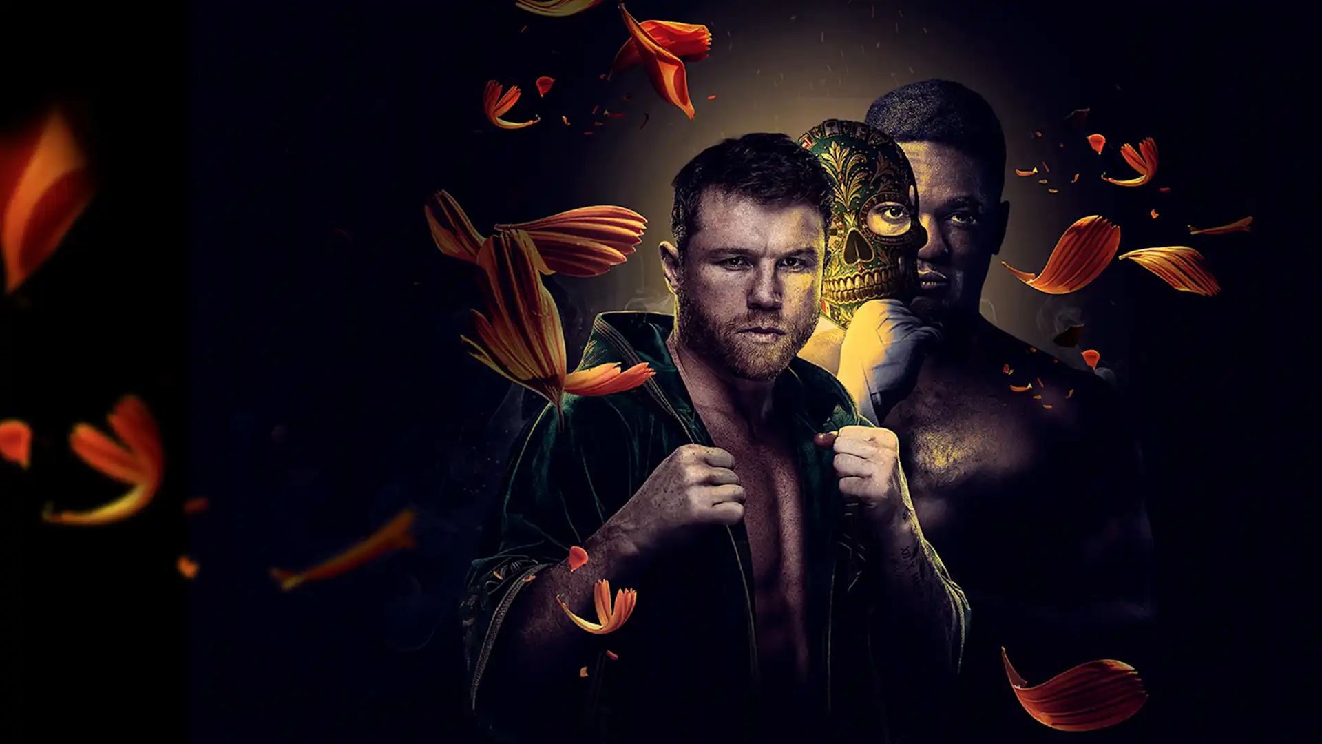 Spotlight Background Image