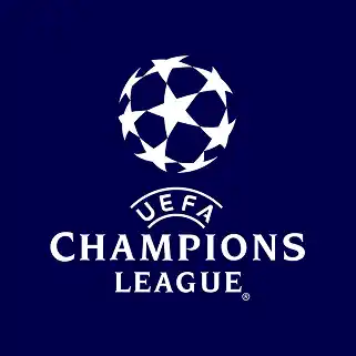 big logo
